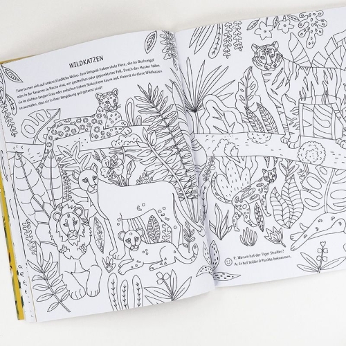 Buchcover und Innenansicht für das Buch: Evolution - Colouring and Activity Book