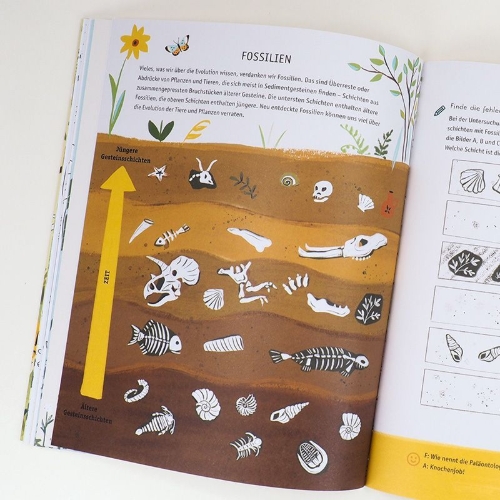 Buchcover und Innenansicht für das Buch: Evolution - Colouring and Activity Book