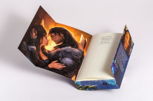 Buchcover und Innenansicht für das Buch: Broken Souls and Bones