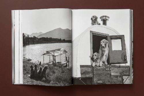 Buchcover und Innenansicht für das Buch: Bruce Weber. The Golden Retriever Photographic Society