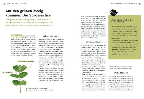 Buchcover und Innenansicht für das Buch: Pflanzen endlich verstehen