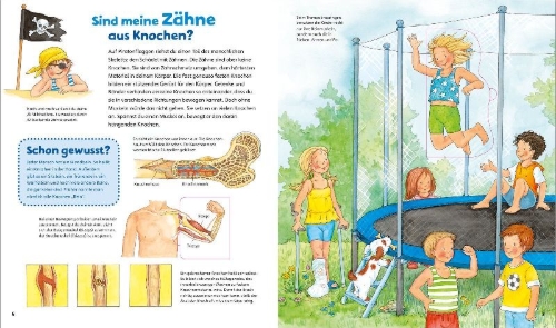 Buchcover und Innenansicht für das Buch: WAS IST WAS Junior Band 7. Mein Körper