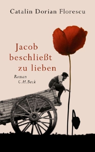 Buchcover und Innenansicht für das Buch: Jacob beschließt zu lieben