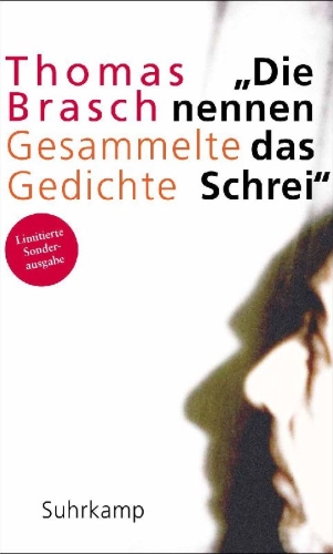 Buchcover und Innenansicht für das Buch: »Die nennen das Schrei«
