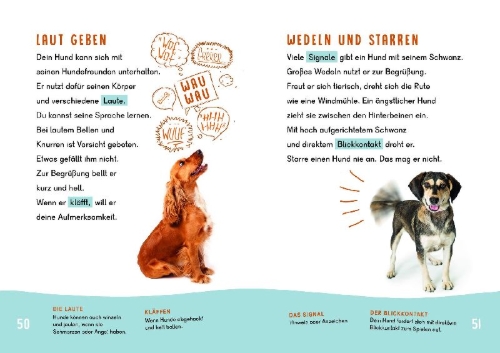 Buchcover und Innenansicht für das Buch: Dein Lesestart - Hunde