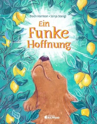 Buchcover und Innenansicht für das Buch: A Chance of Brightness