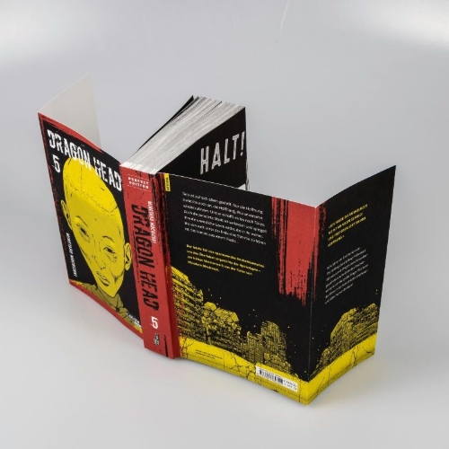Buchcover und Innenansicht für das Buch: Dragon Head