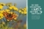 Buchcover und Innenansicht für das Buch: Lass wachsen!
