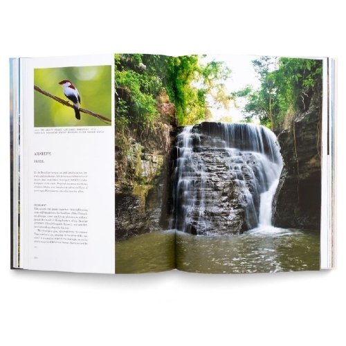 Buchcover und Innenansicht für das Buch: Geoparks