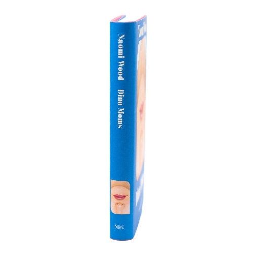 Buchcover und Innenansicht für das Buch: This is why we can't have nice things