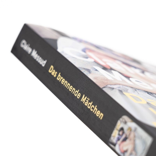 Buchcover und Innenansicht für das Buch: The Burning Girl