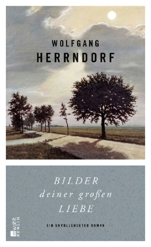 Buchcover und Innenansicht für das Buch: Bilder deiner großen Liebe