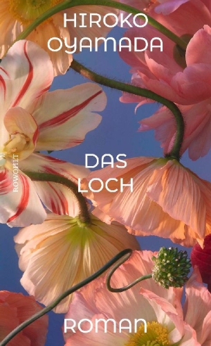 Buchcover und Innenansicht für das Buch: Ana