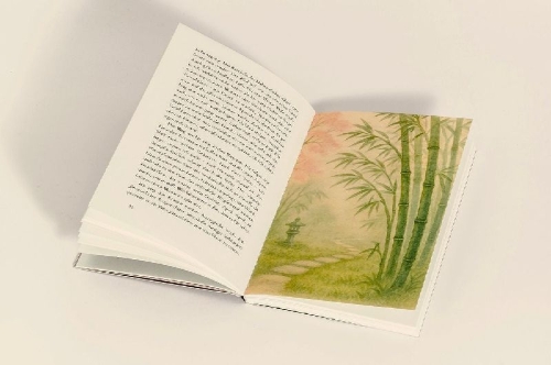 Buchcover und Innenansicht für das Buch: Der Japanische Garten