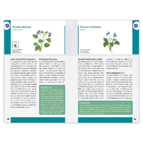 Buchcover und Innenansicht für das Buch: Wildblumen und Kräuter entdecken und bestimmen