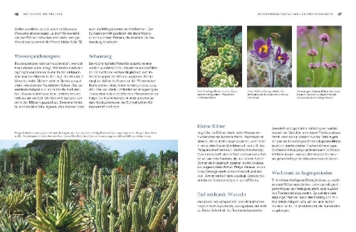 Buchcover und Innenansicht für das Buch: Robuste Schönheiten für den Garten