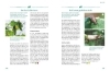 Buchcover und Innenansicht für das Buch: Gärtnern für Gartenneulinge