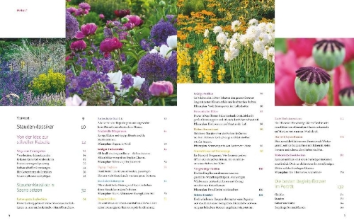 Buchcover und Innenansicht für das Buch: Ganzjährig attraktive Beete mit Blatt und Blüte