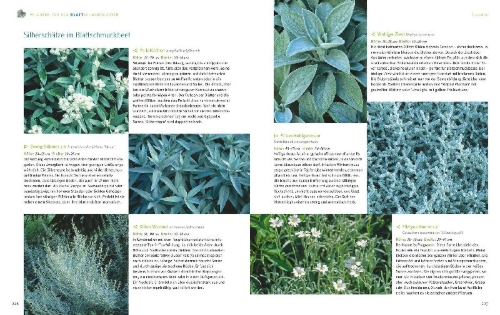 Buchcover und Innenansicht für das Buch: Ganzjährig attraktive Beete mit Blatt und Blüte