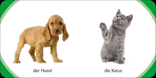 Buchcover und Innenansicht für das Buch: Kennst du das? Meine bunte Kinderwelt