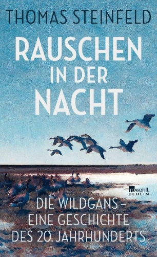 Buchcover und Innenansicht für das Buch: Rauschen in der Nacht