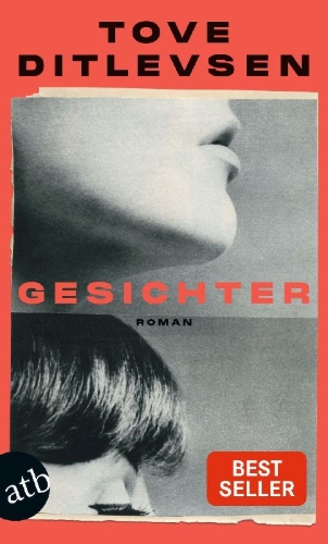 Buchcover und Innenansicht für das Buch: Ansigterne