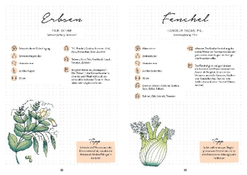Buchcover und Innenansicht für das Buch: Mein Garten - Das illustrierte Gartenbuch
