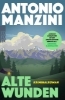 Buchcover und Innenansicht für das Buch: Alte Wunden