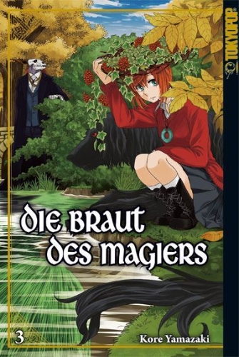 Buchcover und Innenansicht für das Buch: Die Braut des Magiers 03