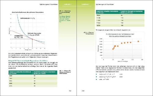 Buchcover und Innenansicht für das Buch: Sonderausgabe: Excel Formeln und Funktionen professionell einsetzen