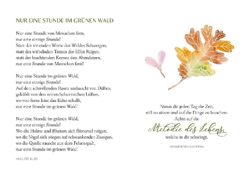 Buchcover und Innenansicht für das Buch: Wie ein Spaziergang im Wald