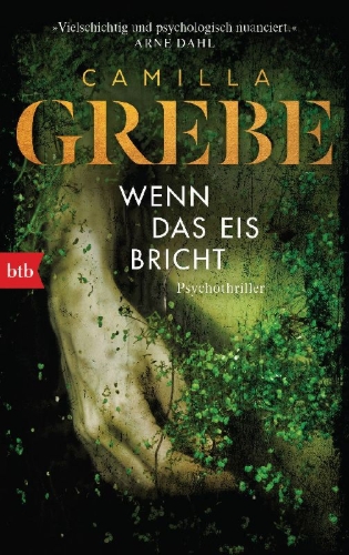 Buchcover und Innenansicht für das Buch: Wenn das Eis bricht