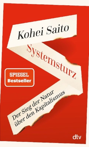 Buchcover und Innenansicht für das Buch: Systemsturz