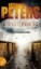 Buchcover und Innenansicht für das Buch: Bernsteinmord