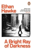 Buchcover und Innenansicht für das Buch: A Bright Ray of Darkness