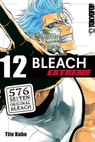 Buchcover und Innenansicht für das Buch: Bleach EXTREME 12