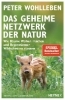 Buchcover und Innenansicht für das Buch: Das geheime Netzwerk der Natur