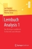 Buchcover und Innenansicht für das Buch: Lernbuch Analysis 1