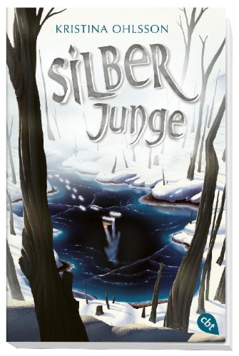 Buchcover und Innenansicht für das Buch: Silverpojken