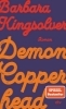 Buchcover und Innenansicht für das Buch: Demon Copperhead