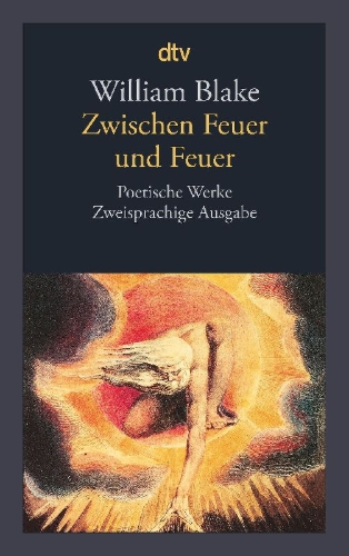 Buchcover und Innenansicht für das Buch: Zwischen Feuer und Feuer