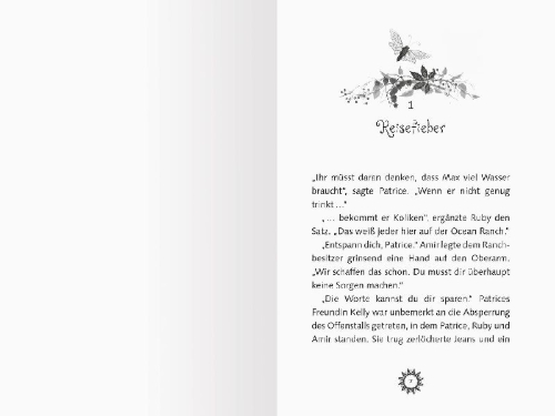 Buchcover und Innenansicht für das Buch: Pferdeflüsterer-Mädchen, Band 6 - Schlaflose Ferien