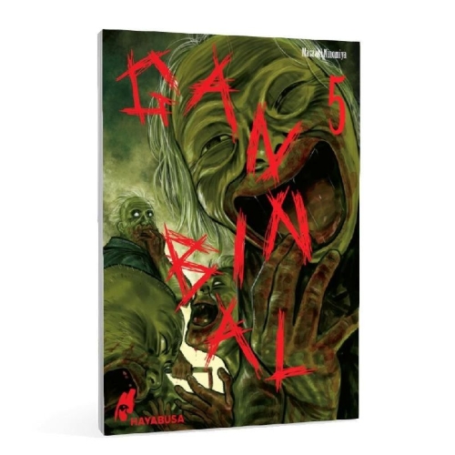 Buchcover und Innenansicht für das Buch: GANNIBARU