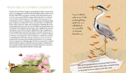 Buchcover und Innenansicht für das Buch: Hoe maakt u van uw tuin of balkon een vogelparadijs en waarom?