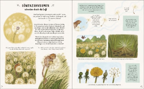 Buchcover und Innenansicht für das Buch: Slow Down and Be Here Now