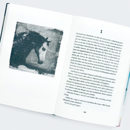 Buchcover und Innenansicht für das Buch: Pony