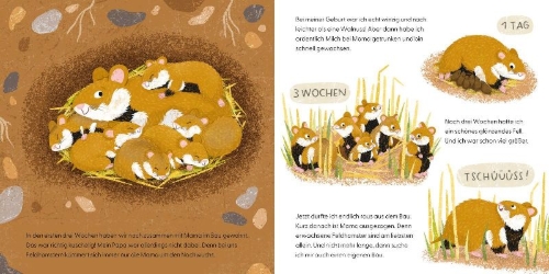 Buchcover und Innenansicht für das Buch: Kennst du mich? Ich bin ein Hamster!