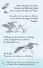Buchcover und Innenansicht für das Buch: Natur-Entdecker-Karten: Unsere heimischen Vögel