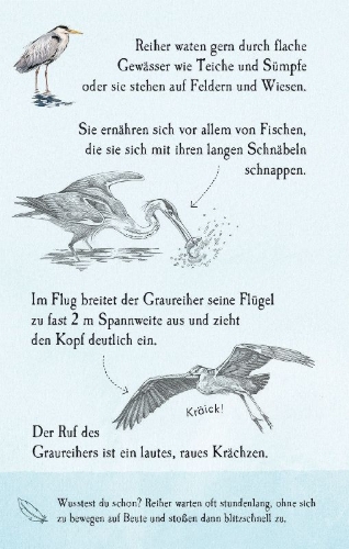 Buchcover und Innenansicht für das Buch: Natur-Entdecker-Karten: Unsere heimischen Vögel