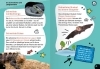 Buchcover und Innenansicht für das Buch: Guinness World Records - Tiere